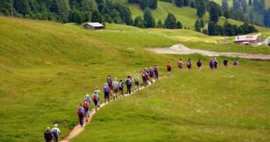 Hiking Staff